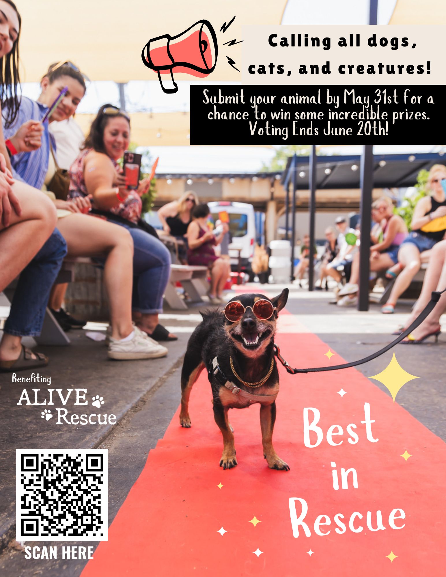 Best In Rescue 2026 Submission Flyer