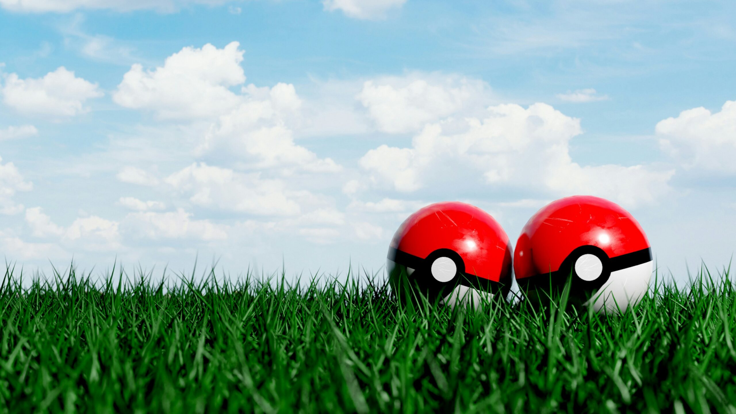 Photo of two Pokemon balls in the grass beneath a blue sky