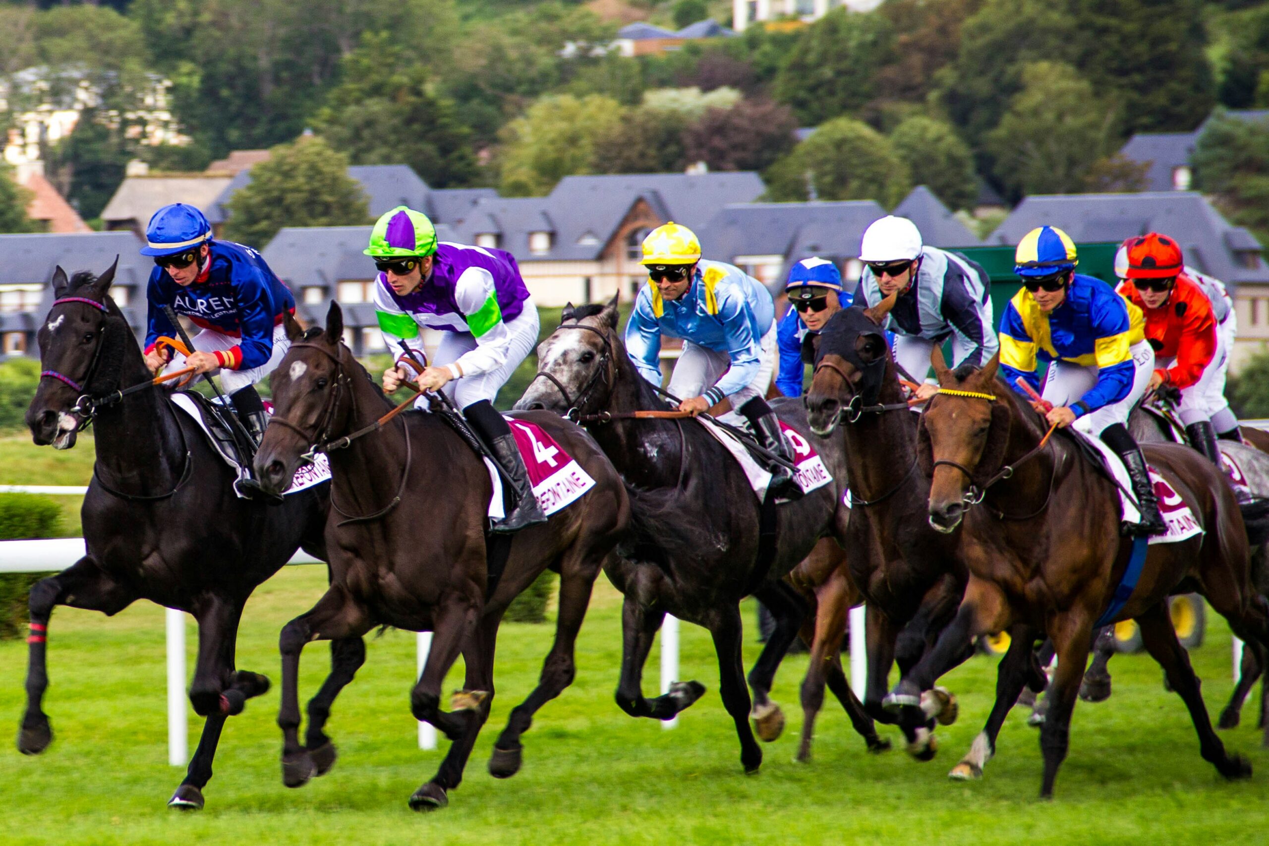 Celebrate the Derby the Parlay Way with Whaddayaknow?