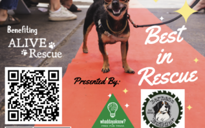 Join ALIVE Rescue This Weekend: Save Lives and Help Choose The Top Dog!