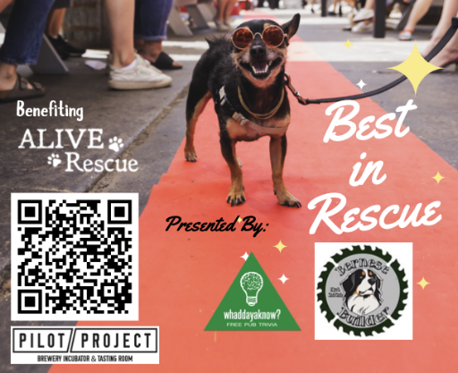 Join ALIVE Rescue This Weekend: Save Lives and Help Choose The Top Dog!